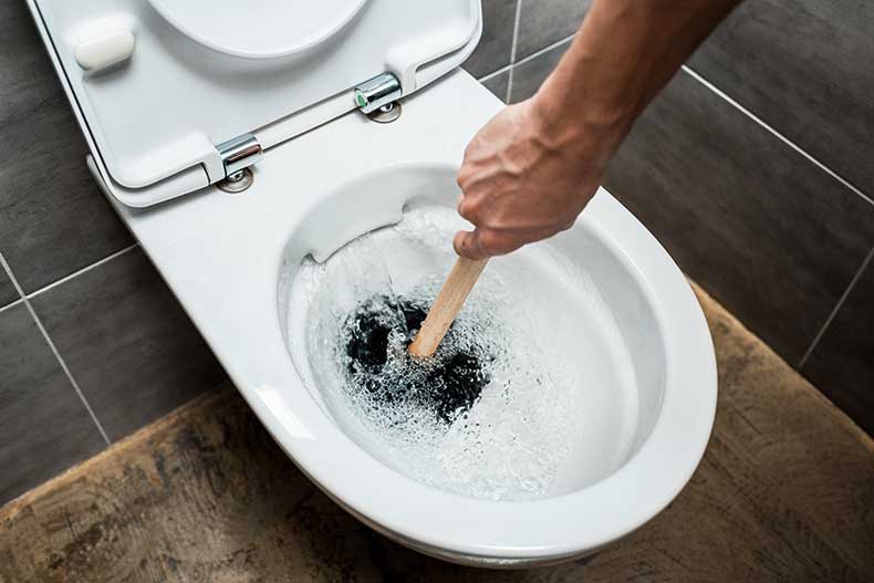 Toilet Unclogged with Plunger