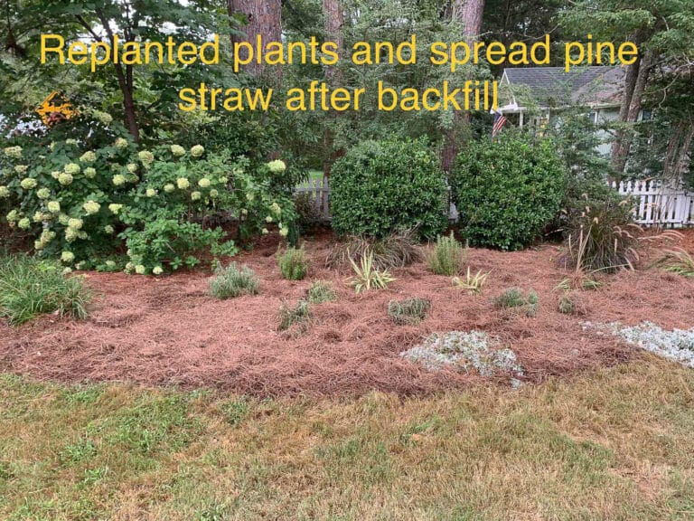  Backfilled And Replanted Landscaping