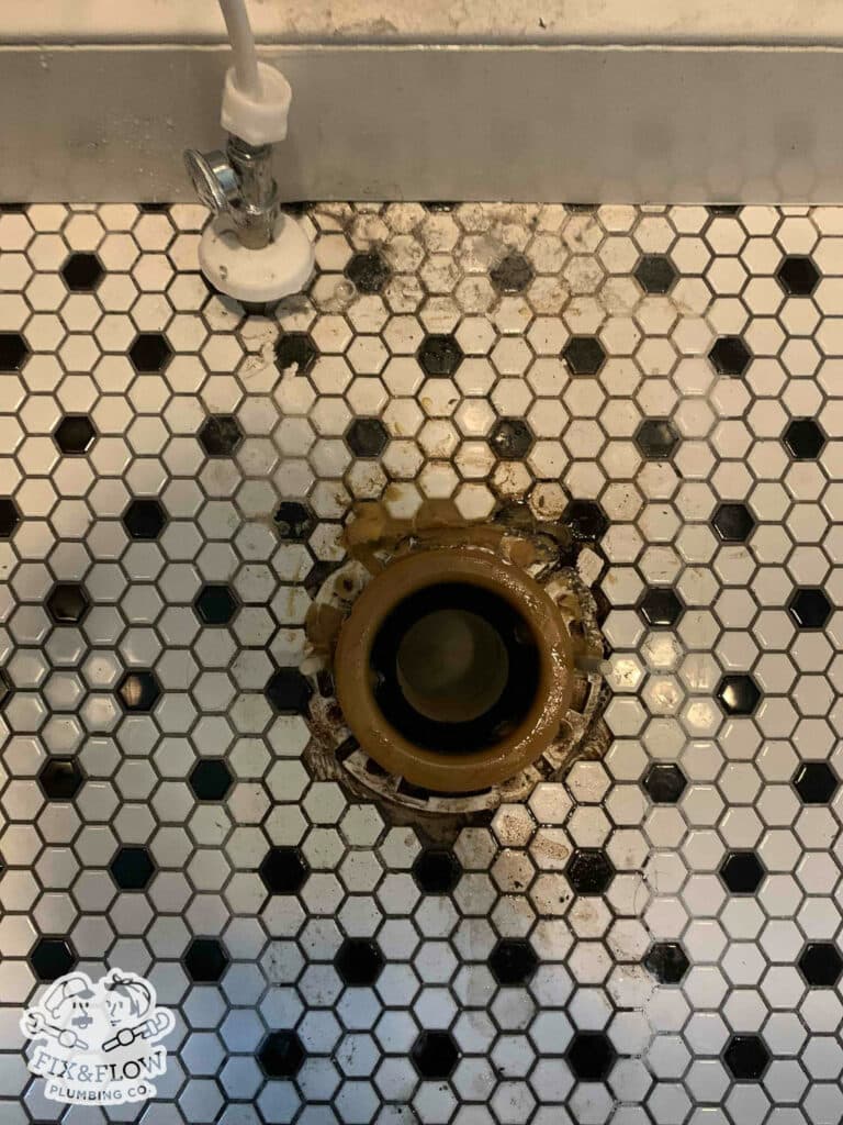 Toilet Repair Edgewood