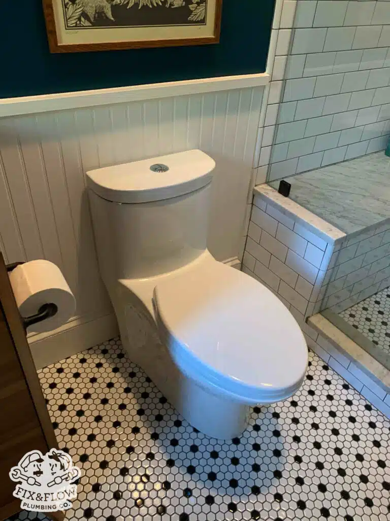Dual Flush Toilet Installed In A Customer's Home