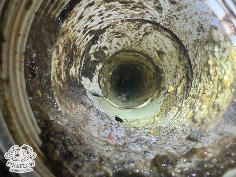 Drain Line Replacement Boulevard Heights