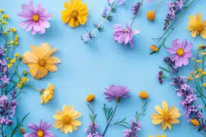 Spring Flowers
