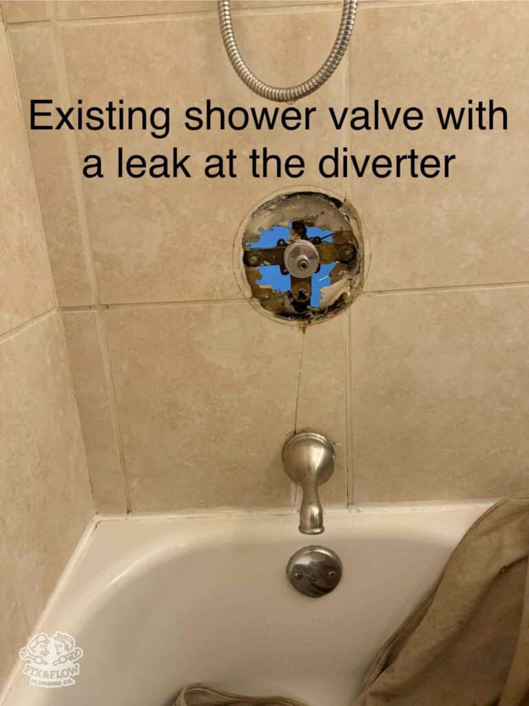 Kirkwood Ceiling Leak Repair Shower Fixture Upgrade 
