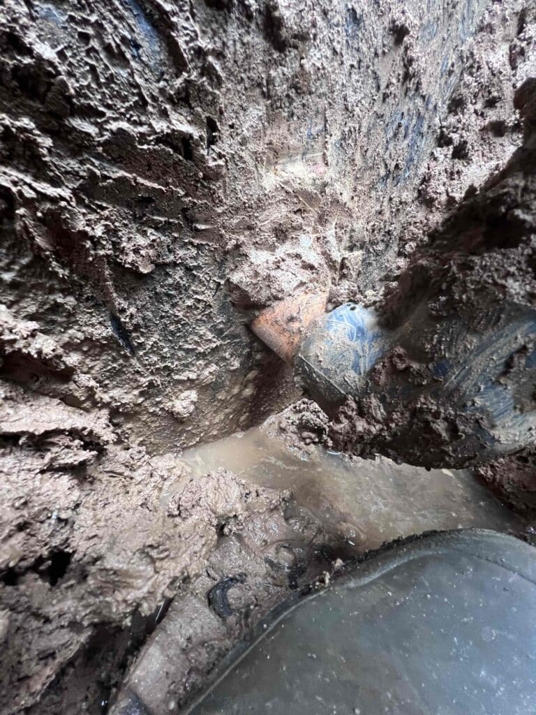 Af C A Da E D E Ee Cdv Photo