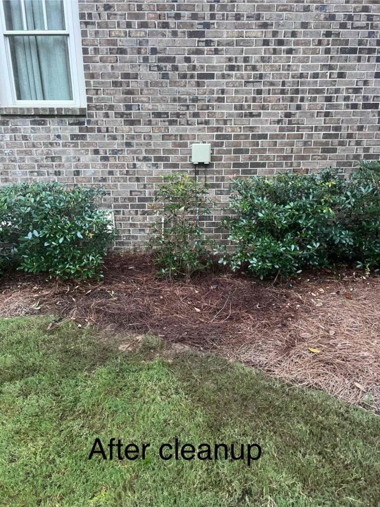 Dc E F B A Ebc Ff B Cdv Photo 