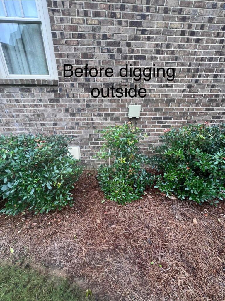 Dfa Dfd E B B A Da B Cdv Photo 