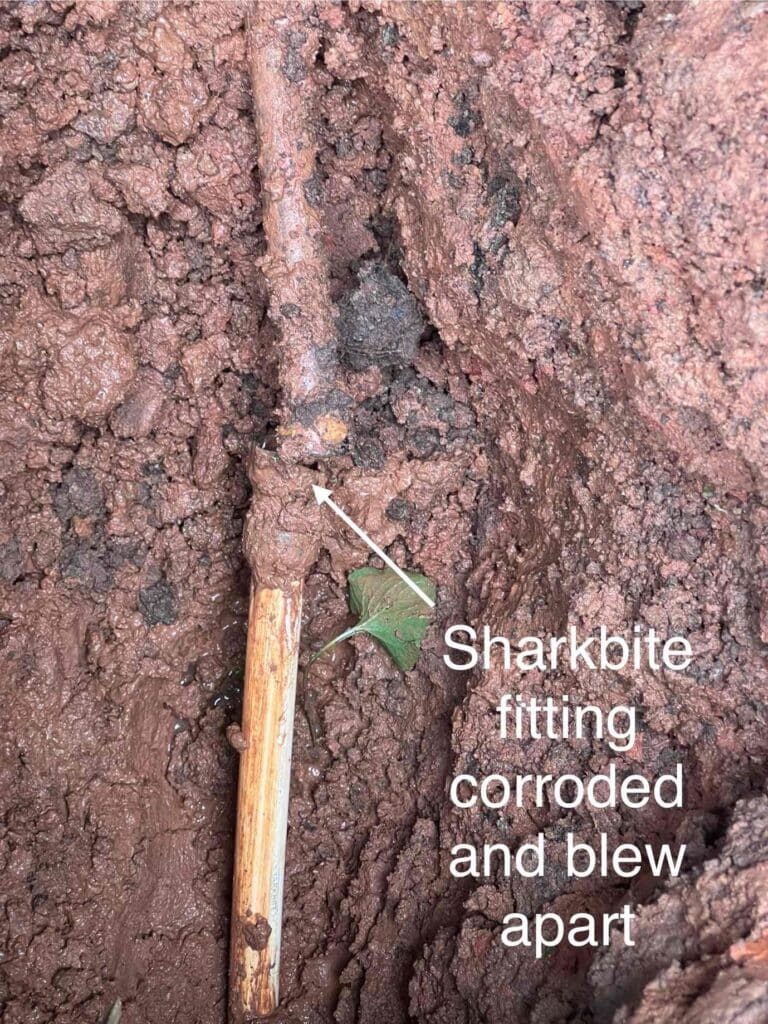  Bdff B C D B Acd Cdv Photo 