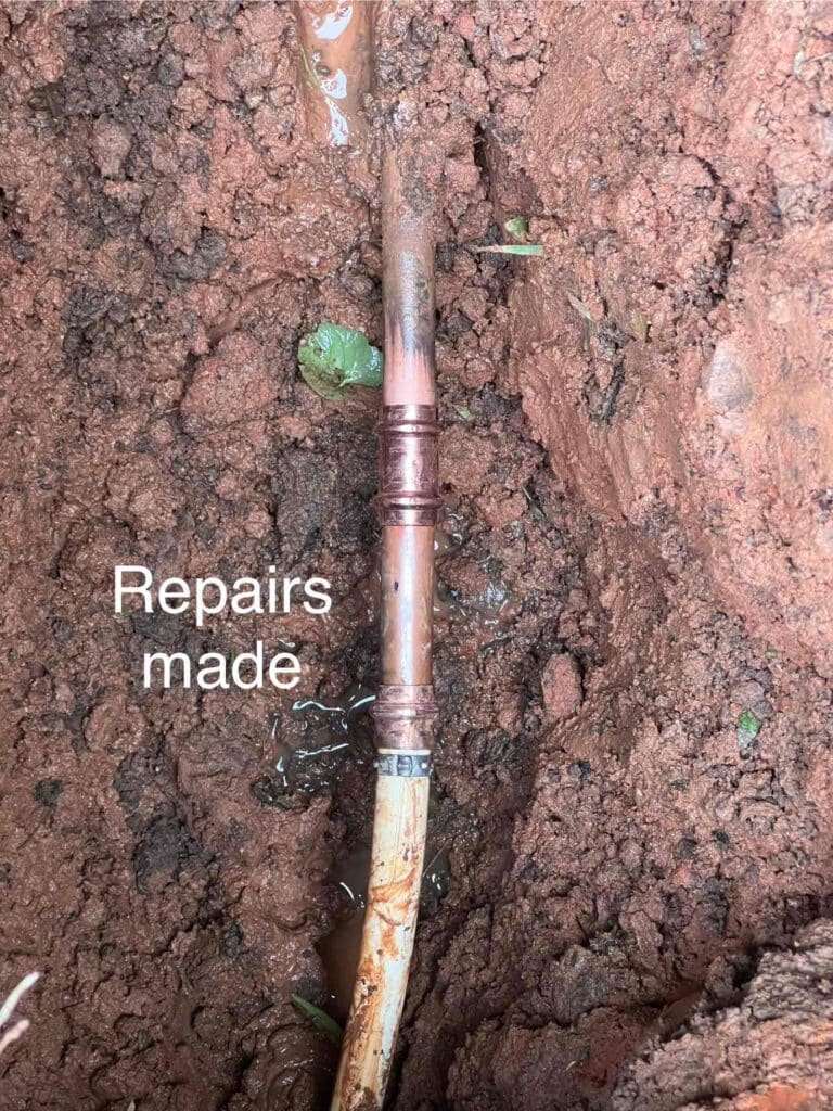 Be F B F Bfbe Cdv Photo